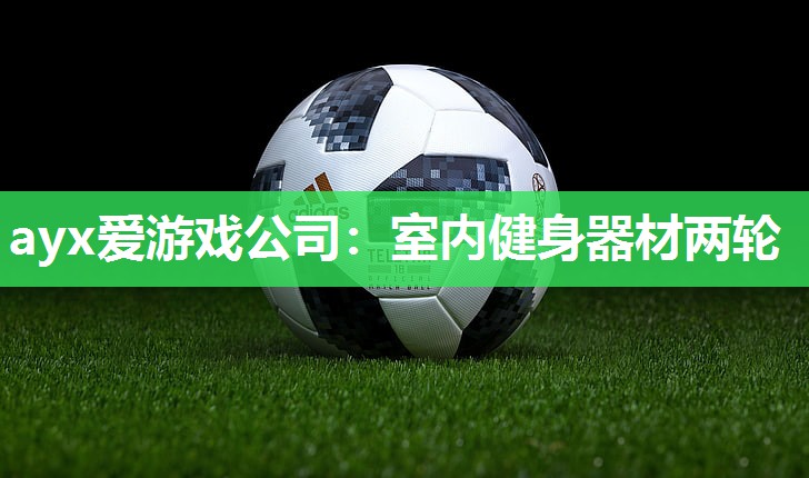 ayx爱游戏公司：室内健身器材两轮