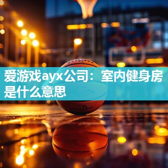 爱游戏ayx公司：室内健身房是什么意思