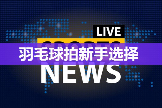 羽毛球拍新手选择