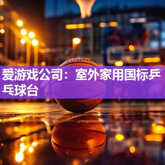 室外家用国标乒乓球台